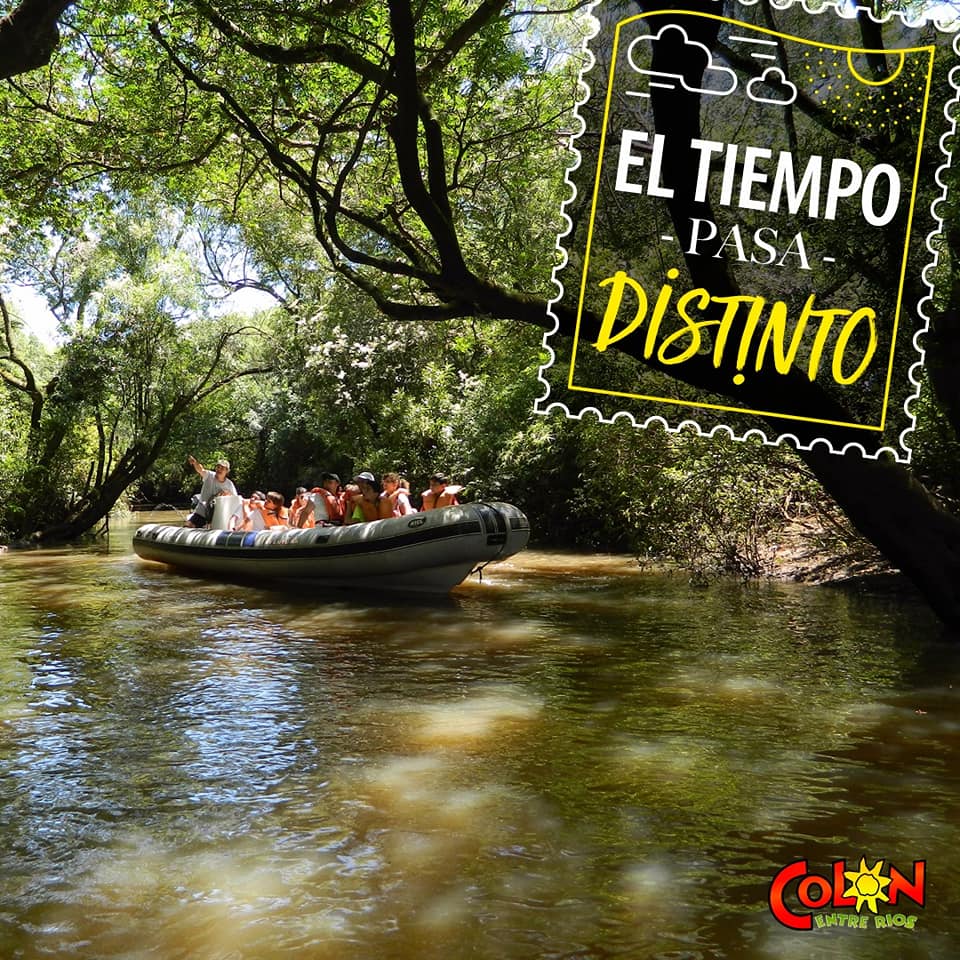 Cabañas cerca de la playa