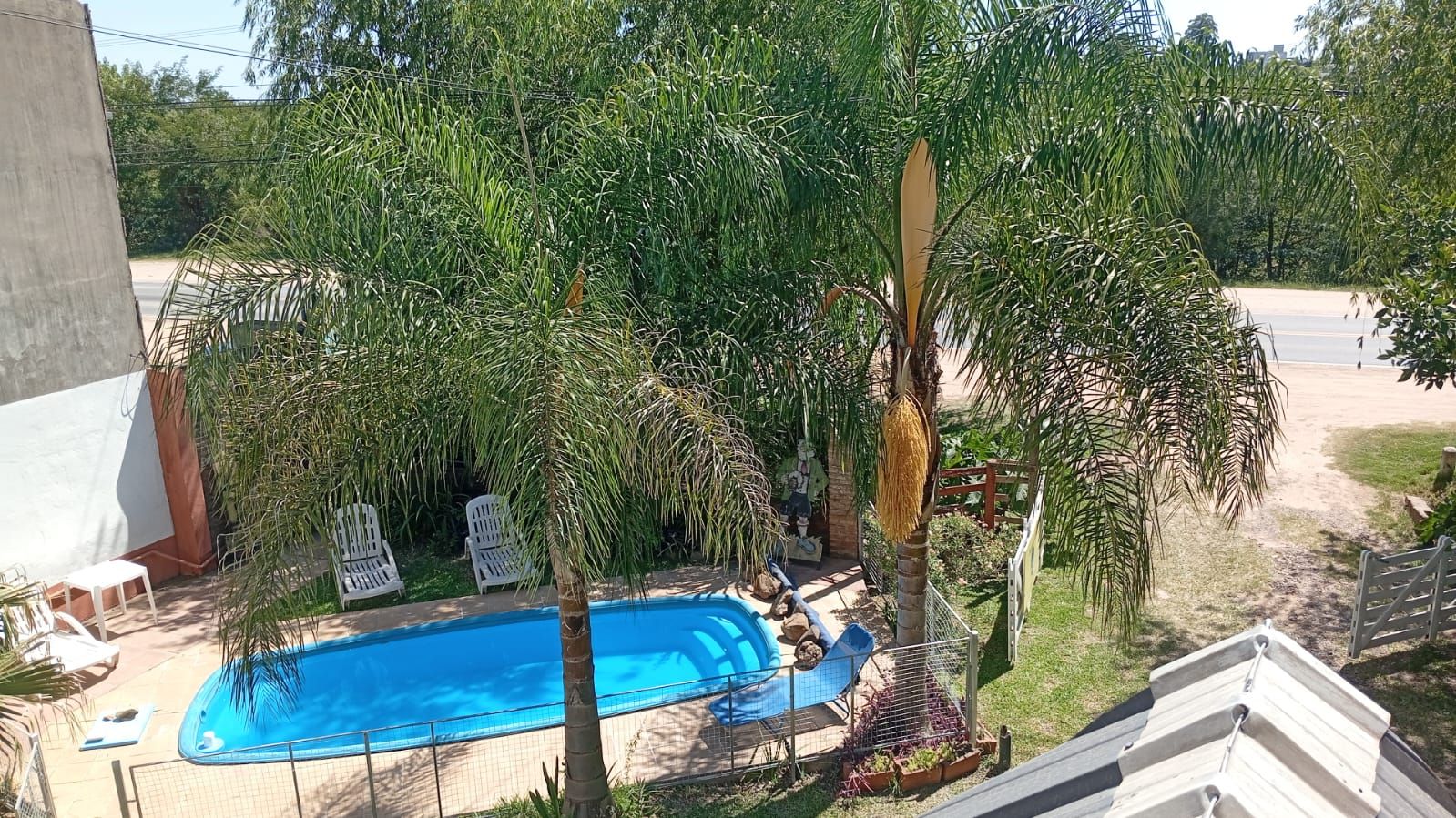 Descansar en una pileta con palmeras